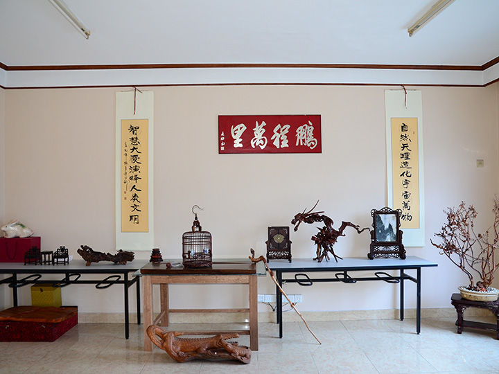 泰來(lái)展館